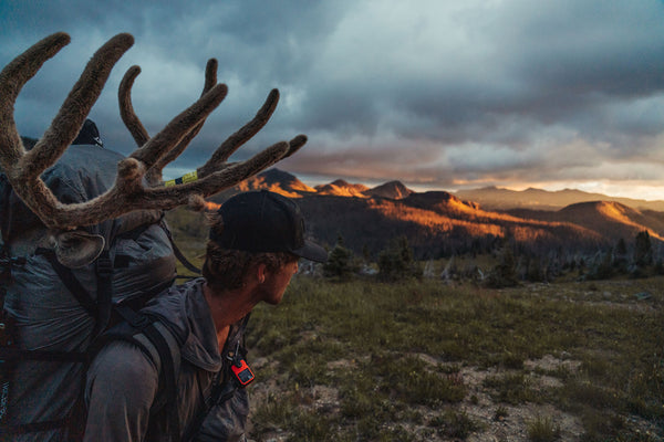 Mule deer hunter with mountain mule deer on hunting pack