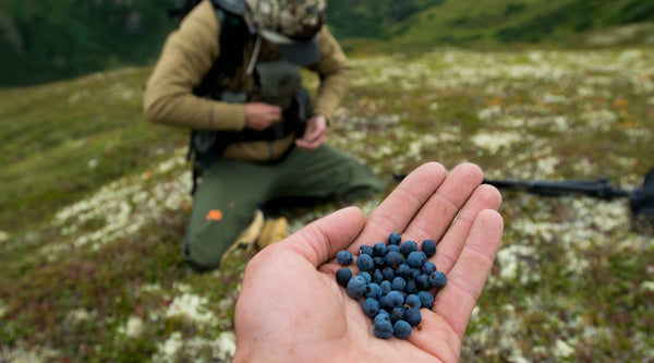 Hunter with handful of wild berries