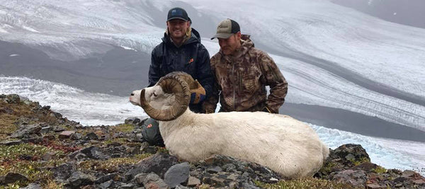 Stone Glacier Dall Sheep Hunting Chugach Alaska