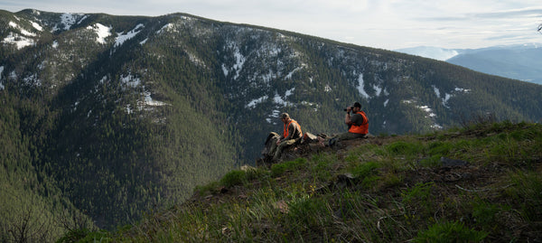 Bear hunters glassing in the mountains