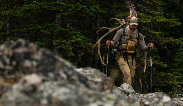 Hunter packing out bull elk