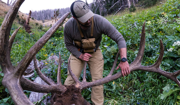 Hunter with bull elk