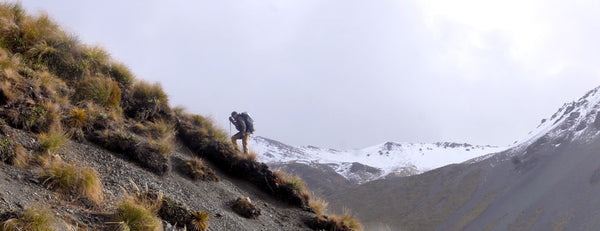 Hunter hiking in New Zealand