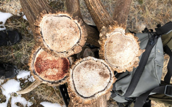 elk sheds