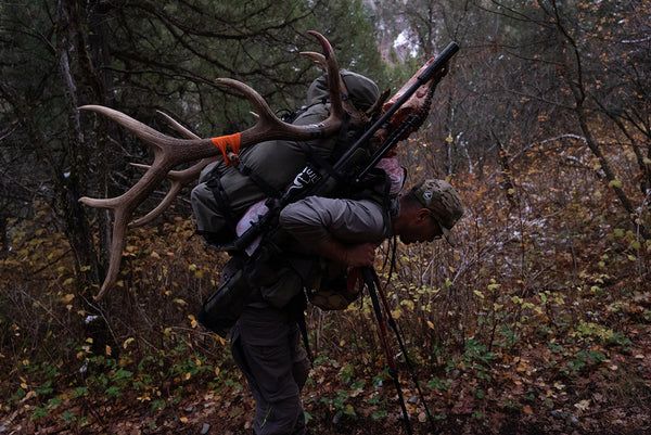 Hunter packing out bull elk in Stone Glacier hunting pack