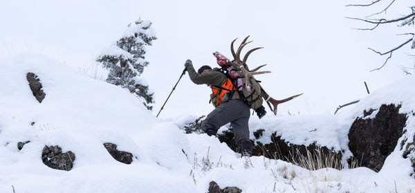 hunter hauling bull elk in snow